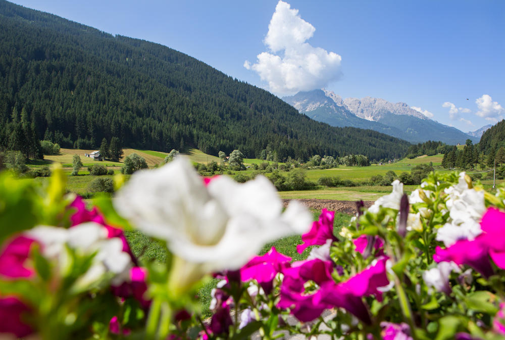 Farm stay Parggenhof
